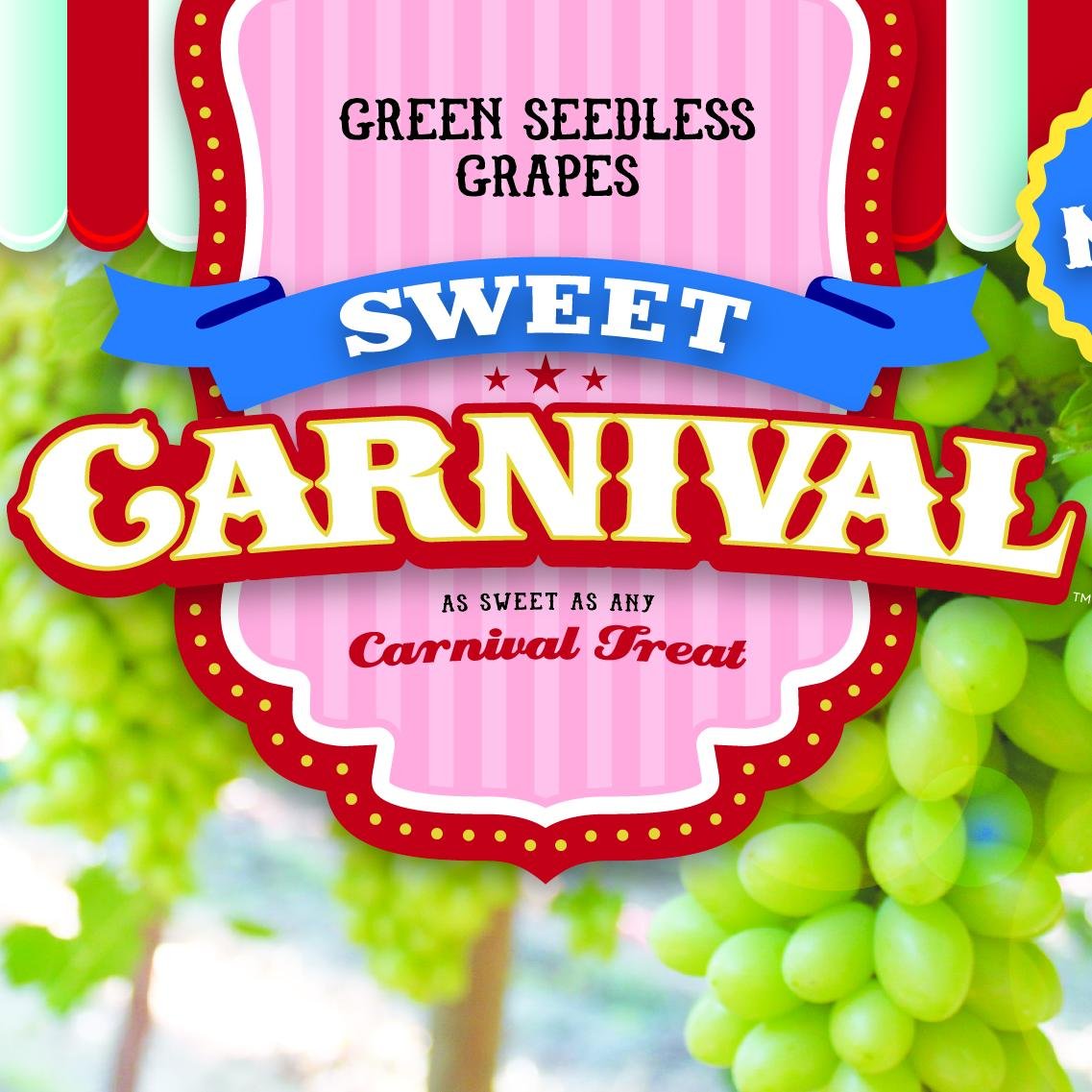 CarnivalSweet's profile picture. Sweet Carnival™ is a brand new variety exclusively available from Sunview Vineyards, a three generation family farm located in Delano, California.