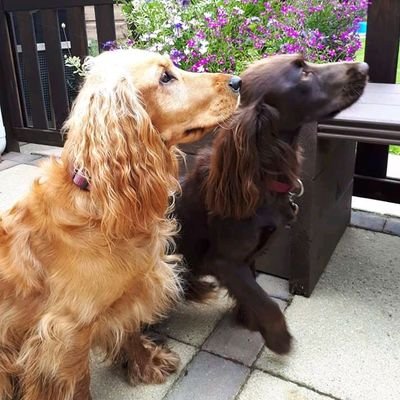 SundayF17784873's profile picture. my love for almighty God is endless ❤❤❤❤❤