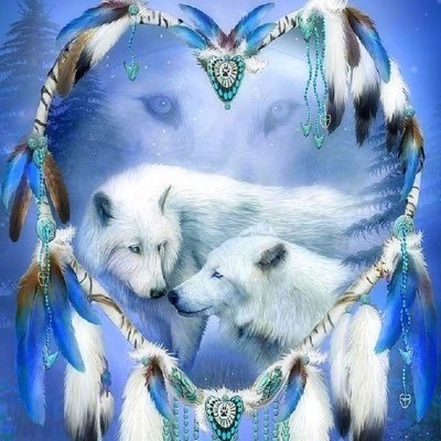 GrannisLisa's profile picture. I have Scleroderma, my bucket list includes meeting Ryan Paevey and the cast and crew of SPN.  I would also love to go to Ireland and Scotland. Hope I have time