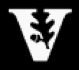 Vanderbilt Healthcare Improvement Group (VHIG), a chapter of the IHI Open School for Health Professions. Our views don't represent VUMC.