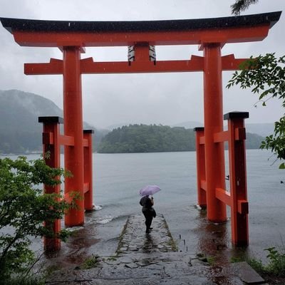 JakiRobinson's profile picture. I saved Latin, what did you ever do?