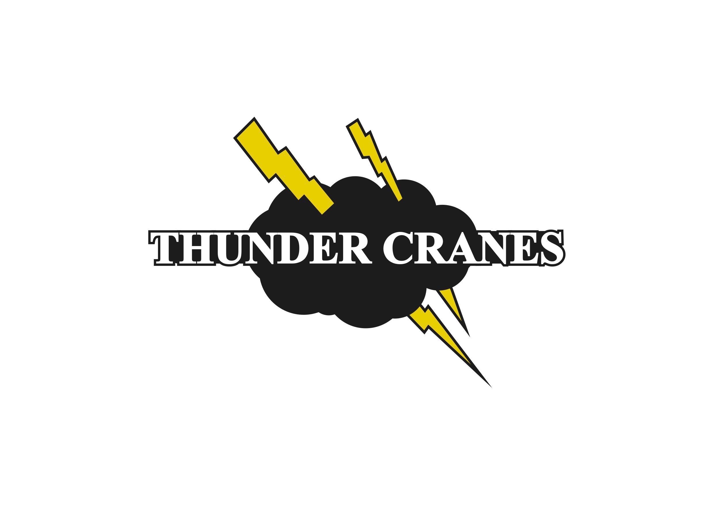 CranesThunder's profile picture. Offshore Lifting Solutions. Portable Rental Cranes.  Passionate about 2 things: Adding Value to Clients' Projects and Pushing the Boundaries of Engineering.