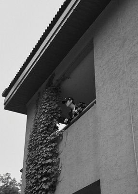 VXEyyud4dmPRpHz's profile picture. EXO