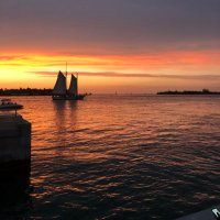 TornadoRich (@tornadorich) 's Twitter Profile