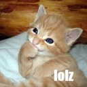 Whitney Glenn - @orangepeelilu - Twitter