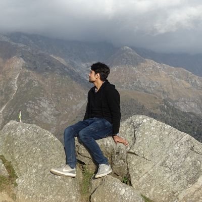 ayushmalik03's profile picture. 