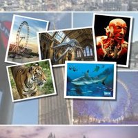 BiologyLondon2019 (@blondon2019) 's Twitter Profile