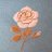 f_roze_x