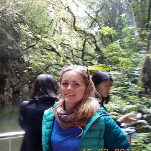 down2ice's profile picture. Post-doc in geophysics @uni_tue. Using Geophysics to understand ice stream dynamics and the formation of glacial bedforms