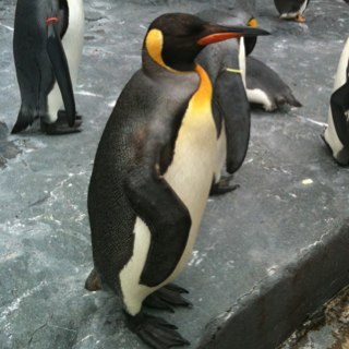 freeride55's profile picture. 基本適当