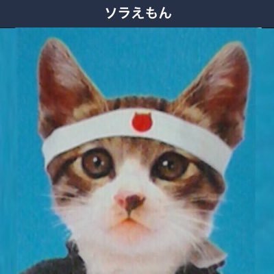ソラえもんVTEC 高回転中毒さんのプロフィール画像