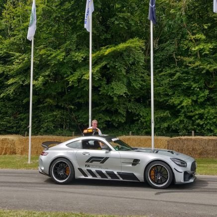 swcracing's profile picture. F1, GT and V8 Supercars fan, Cat servant.