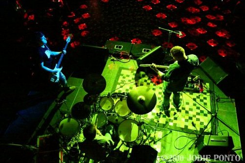 We is fish that is mean and we play mean music BRA!!