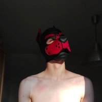Pup Mikey (@pup_mikey_) 's Twitter Profile