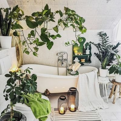 If you love plants and houseplants, then this is the right place to be. 🍃