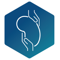 NephrologyLeuven (@nephroleuven) 's Twitter Profile