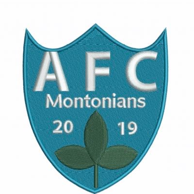 Founded 2019. Playing in MASFL. Proudly sponsored by Just Trees.