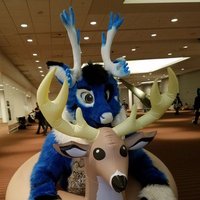 Checkers @7800 RPM (@docfoxjt) 's Twitter Profile