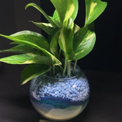 spaceMAX6's profile picture. 心理学、欅坂46、宇宙にはまっている一人の男です。 性格は超チャレンジャー且つ理論派です。 物よりも新しい体験ができることに最高の喜びを感じます。例えば、新しい運動を試したり、ライブに行ったり。 まさかアイドルにハマるとは思ってませんでしたが、欅坂46の楽曲は惹かれるものがあります。