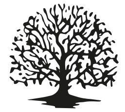 TreeHawthorne's profile picture. South Wales Based Arb Company