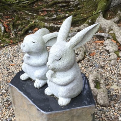かんこどーさんのプロフィール画像