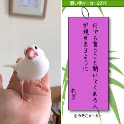 当家のアイドル白文鳥のむぎとベイスターズ関連、劇プロを中心に発信中。劇プロはボーナスの為多めになります。ご迷惑をお掛けします。