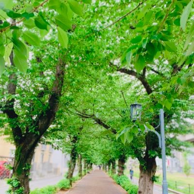 Nami_Kana_O's profile picture. あ