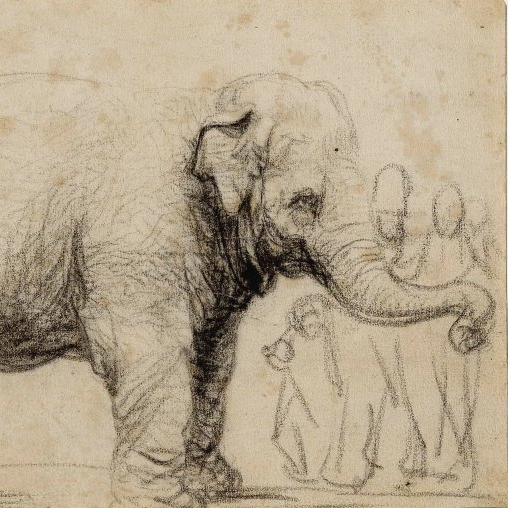 Commons, Resilience, Anthropocene -
Hansken: elephant from Ceylon, drawn by Rembrandt died in Florence - fediverse udra@poliverso.org #Localism #degrowth