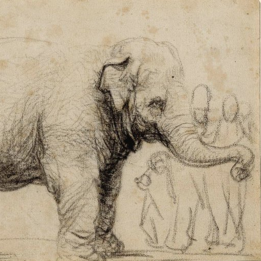 Commons, Resilience, Anthropocene - 
Hansken: elephant from Ceylon, drawn by Rembrandt died in Florence - fediverse udra@poliverso.org #Localism #degrowth