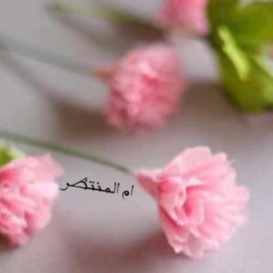 وَمَا تَوْفِيقِي إِلَّا بِاللَّهِ ( مديرة المتوسطة الأولى باللقائط ) ام المنتظر الخالدي ( منتهى )