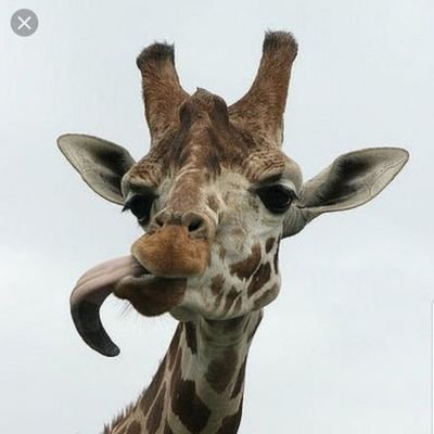 BrandtReppond's profile picture. Apprentice Engineer at Third and James Studios. I gotta passion for science and sound. https://t.co/yGgl6y7uCX