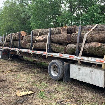 Buyers of standing Timber. Select Harvest loggers.