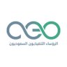 saudiceos's profile picture. منصة تعنى بشؤون وأخبار "الرئيس التنفيذي" في السعودية.. للتواصل : pr@saudiceos.com .. ولخدمات استقطاب كبار التنفيذيين @sanamexec