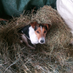 Academic Culchie (@academicculchie) Twitter profile photo Academic Culchie (@academicculchie) Twitter profile photo