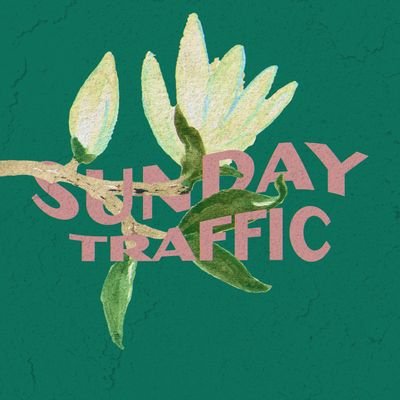 ☀️Indie-Alt band from Houston, TX ☀️Instagram: sunday.traffic
Facebook: sundaytrafficband
