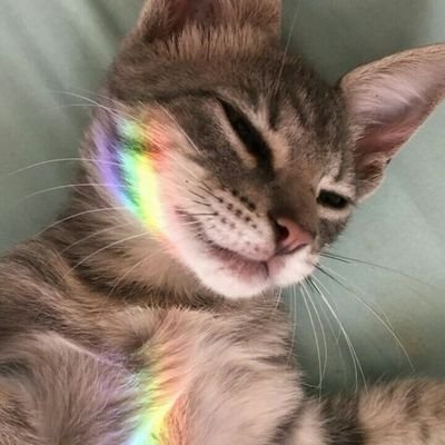 zhyoMendoza's profile picture. 