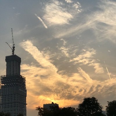 zjackz's profile picture. 