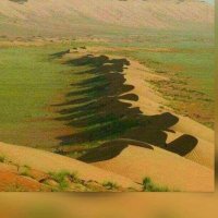 الكوس (@koosal) 's Twitter Profile Photo الكوس (@koosal) 's Twitter Profile Photo