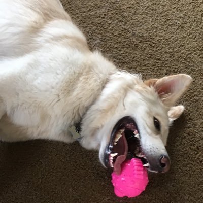 bean54636698's profile picture. 