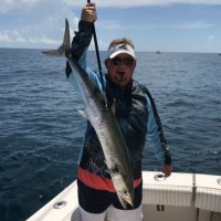 joe gimbel (@baseballjoe) 's Twitter Profile