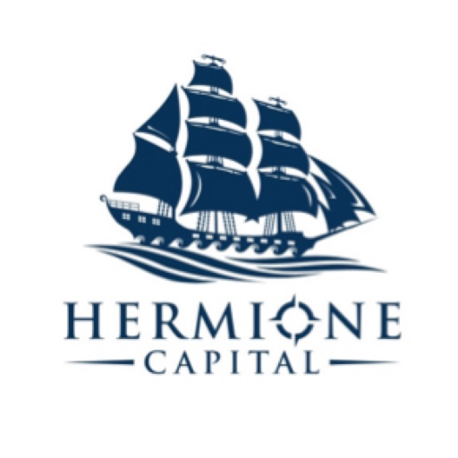 Value investing strategies for long-term capital appreciation - Portfolio disclosure - Luxembourg 🇱🇺 🇪🇺