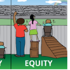 Highlighting Equity in District 219