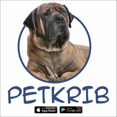 A Community and Marketplace for Pets and Service providers.🐕🐩🐈🦜🦚🦅🐟