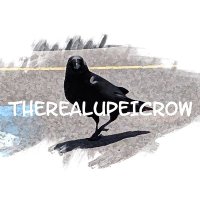 UPEI Crow (@therealupeicrow) 's Twitter Profile Photo UPEI Crow (@therealupeicrow) 's Twitter Profile Photo