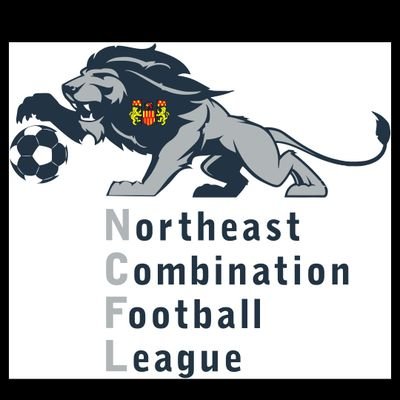 Northeast Combination incorporates mens adult 11 a side football on a Sunday morning and a Saturday afternoon. New for the 19/20 season.