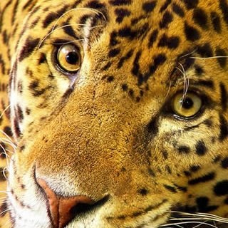 Lizzi365's profile picture. 