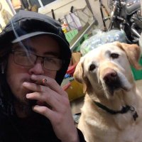 Cody (@cody_sq) 's Twitter Profile