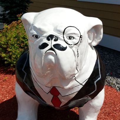 the1before1's profile picture. Something about if they can't take a joke...

#deathsquad
#churchofwhatshappeningnow