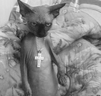 DjPoUk's profile picture. Dj'ing Goth EBM Electro Industrial Punk now for over 26 years, iam Intolerant of R&B Rap Urban. So you know the score there Boys 'n' Girlz!