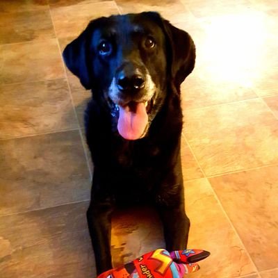 Profile Picture of Weezy (@KeriWalters13) on Twitter